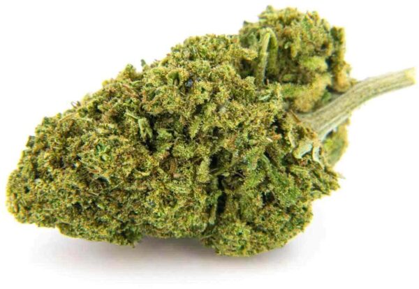 CANNATONIC