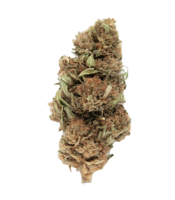 SUPER SILVER HAZE